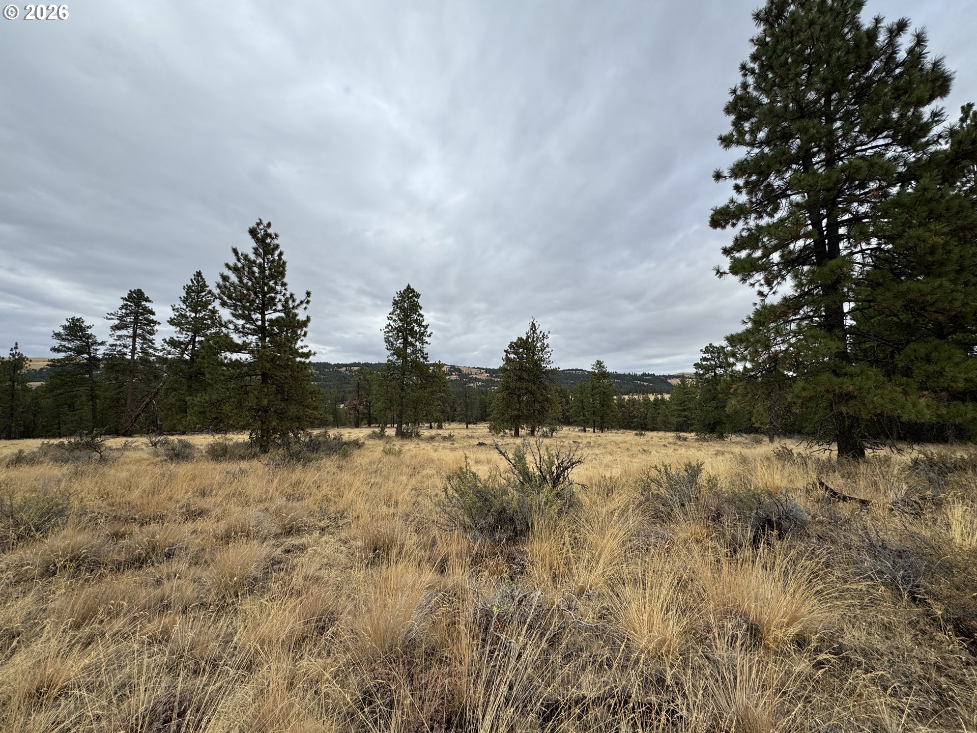 Fireline Property Photo 22