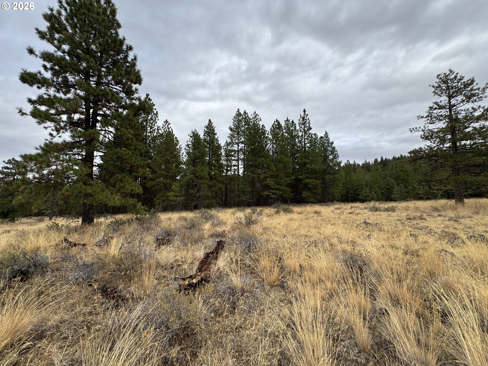 Fireline Property Photo 23