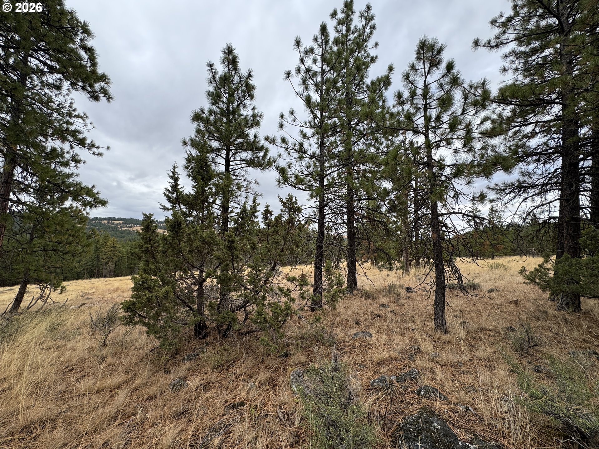 Fireline Property Photo 24