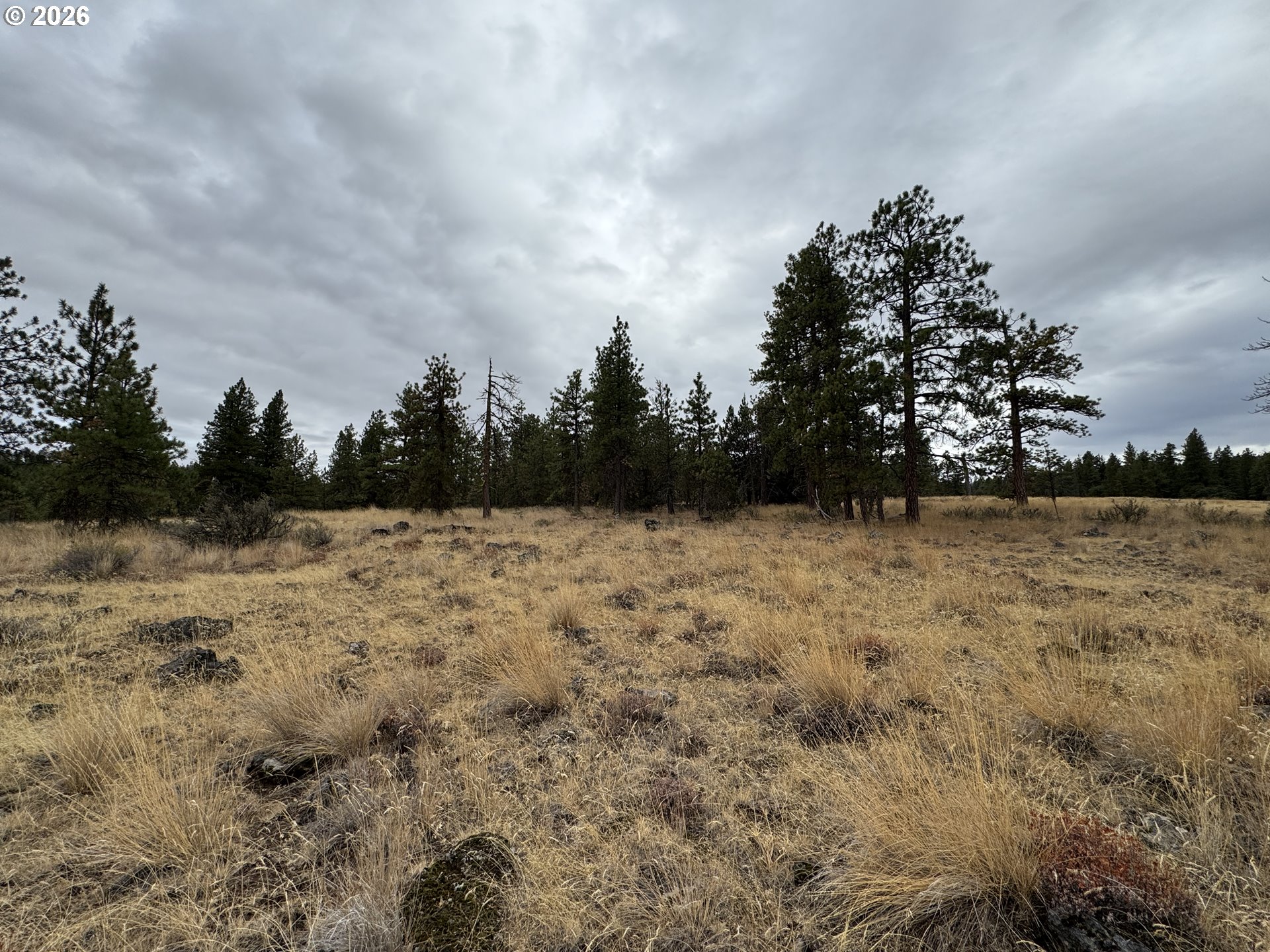 Fireline Property Photo 25