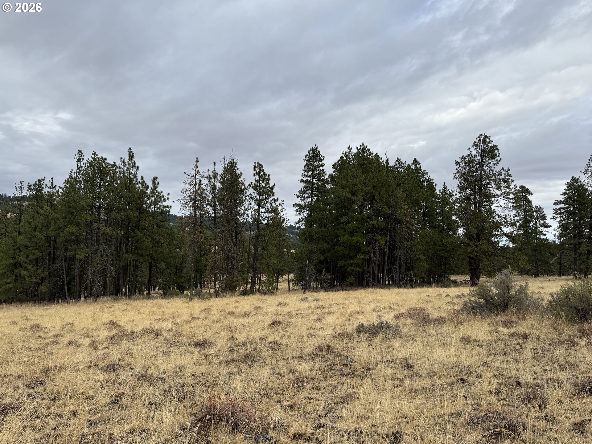 Fireline Property Photo 26