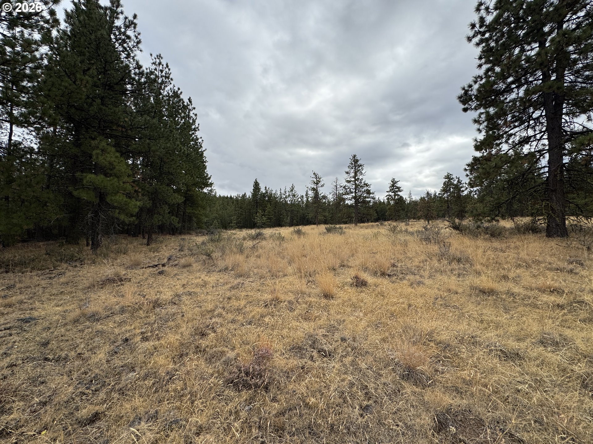 Fireline Property Photo 28