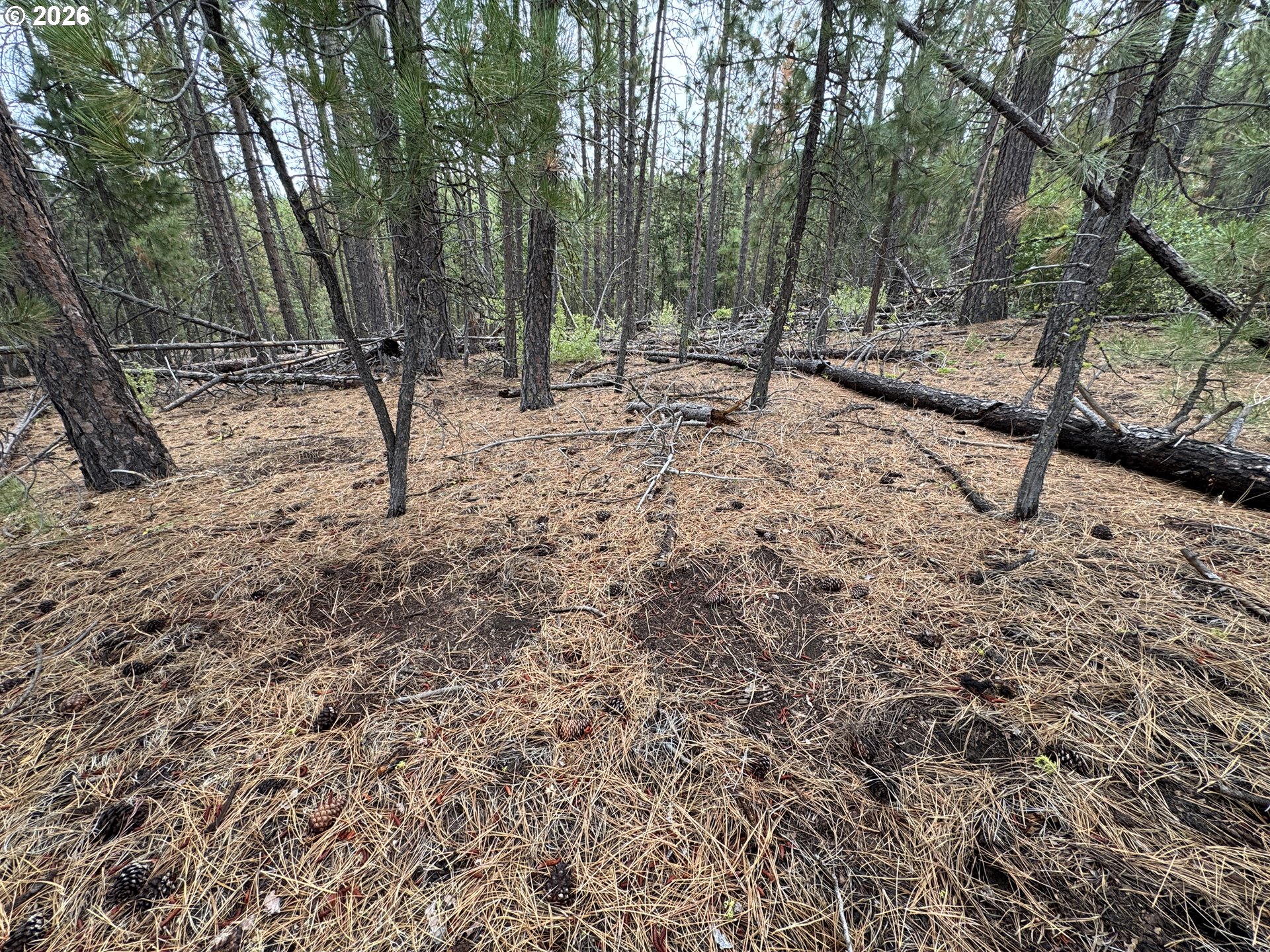 Fireline Property Photo 29