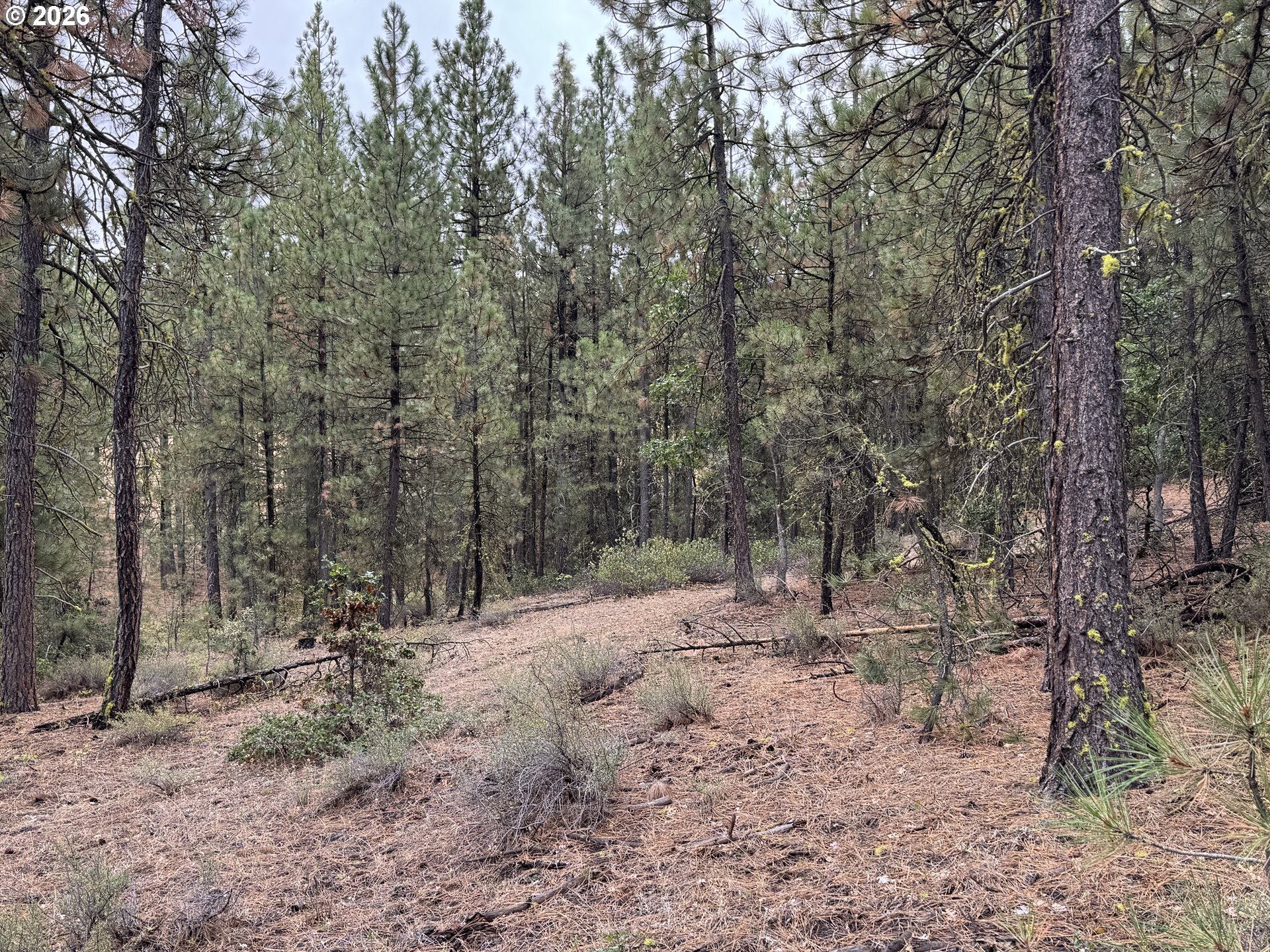 Fireline Property Photo 30