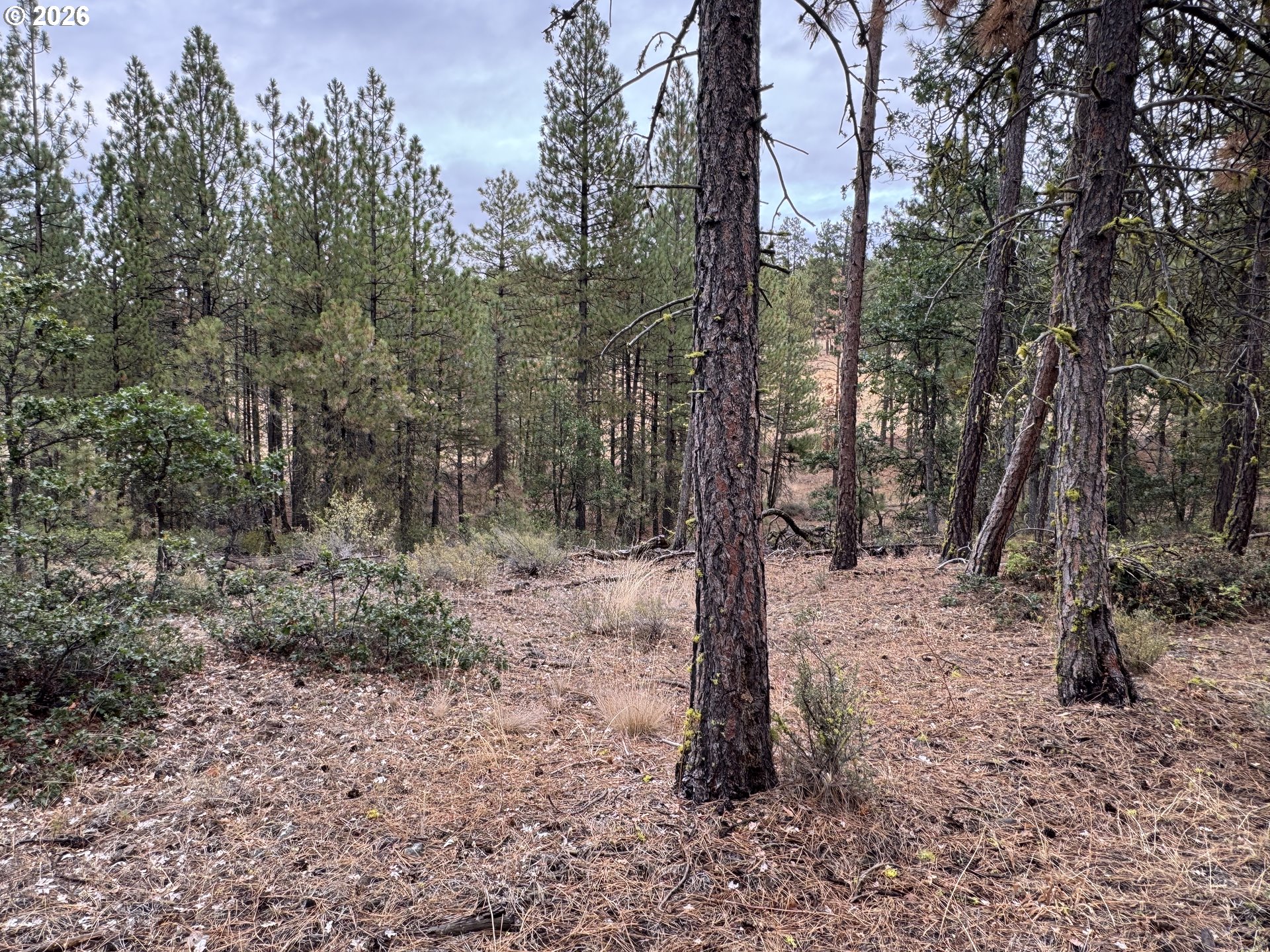 Fireline Property Photo 31