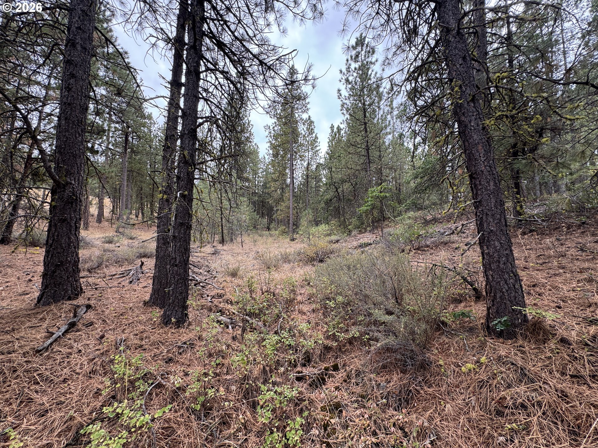Fireline Property Photo 32