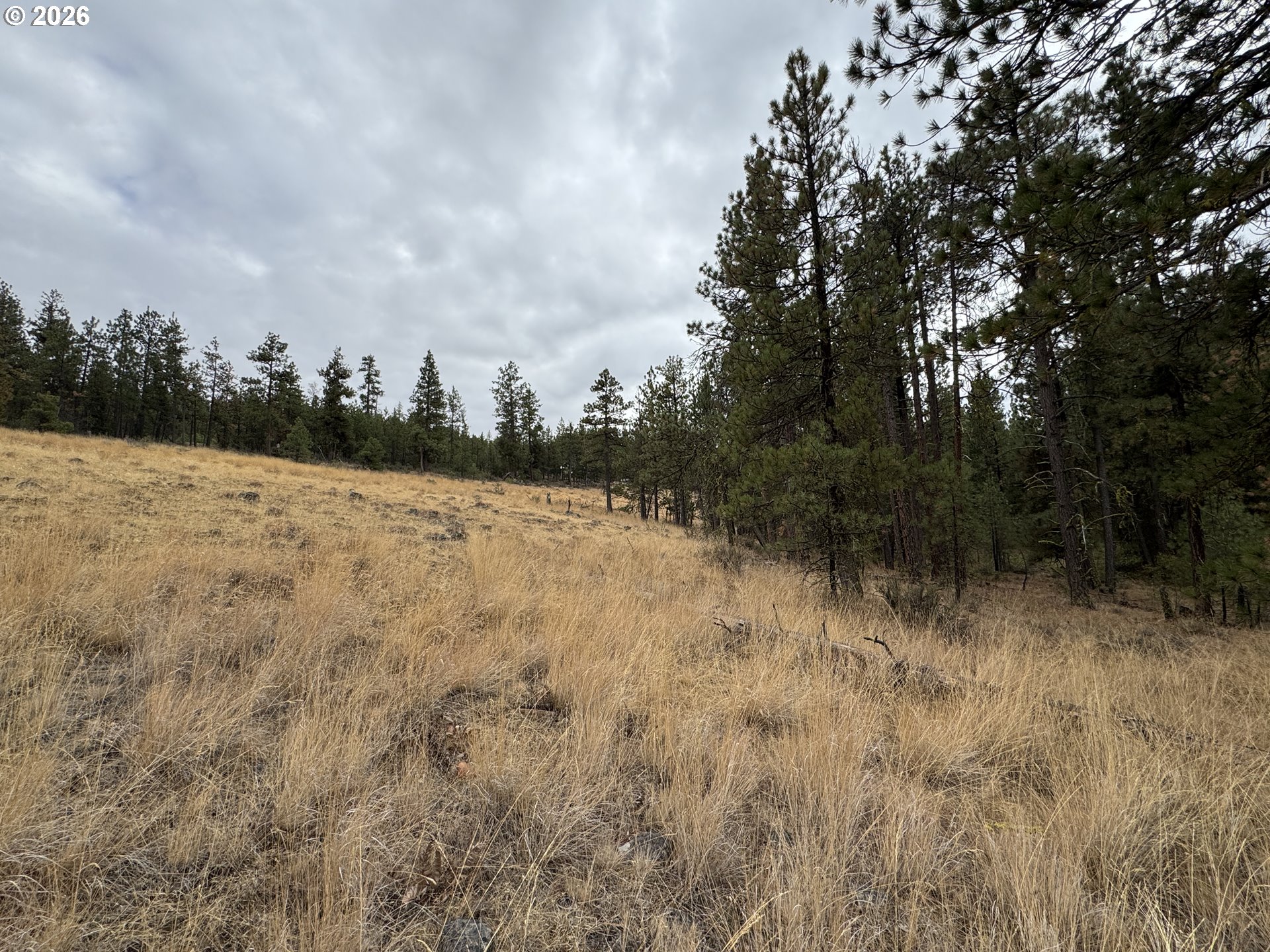 Fireline Property Photo 33
