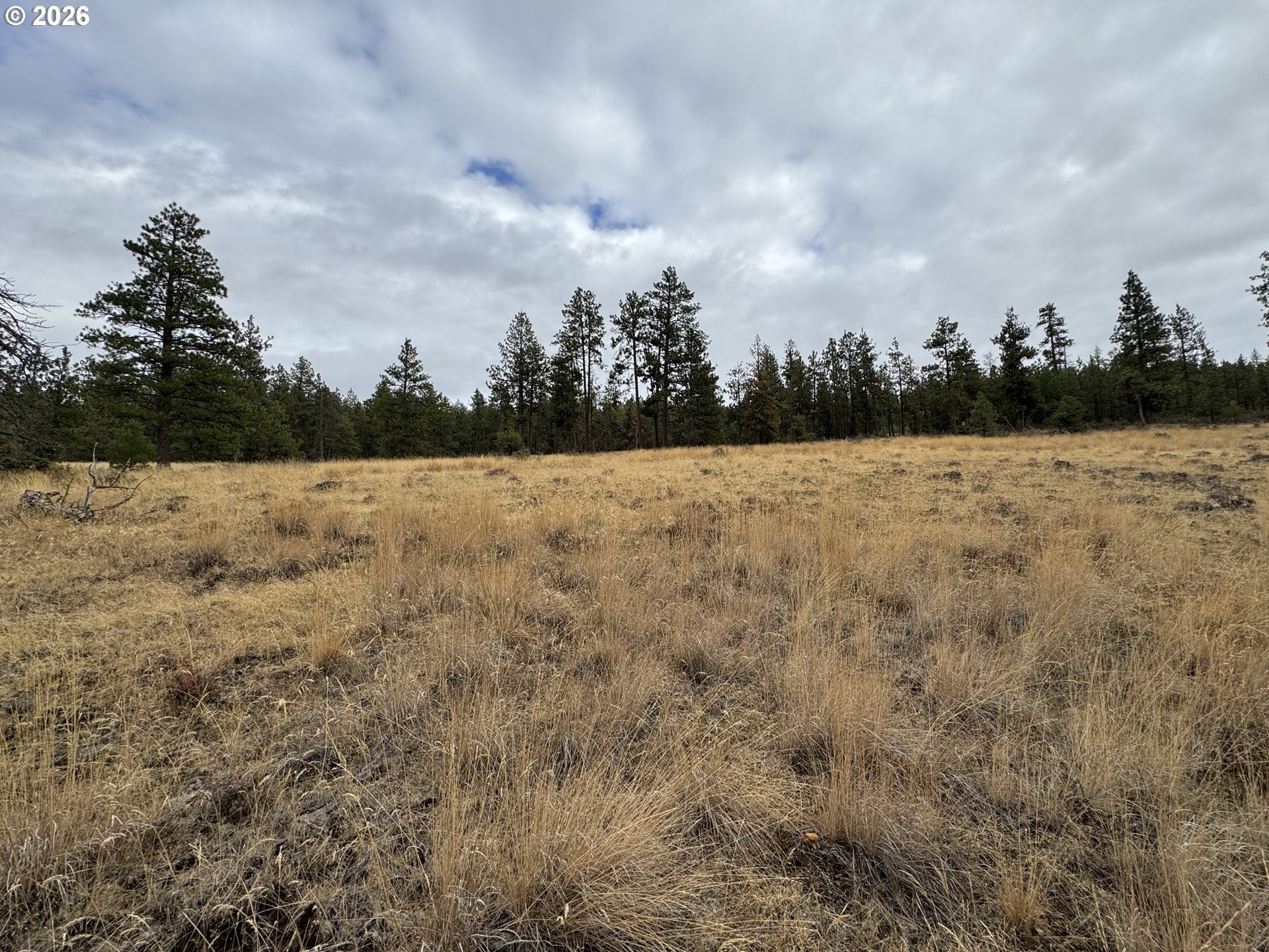 Fireline Property Photo 34