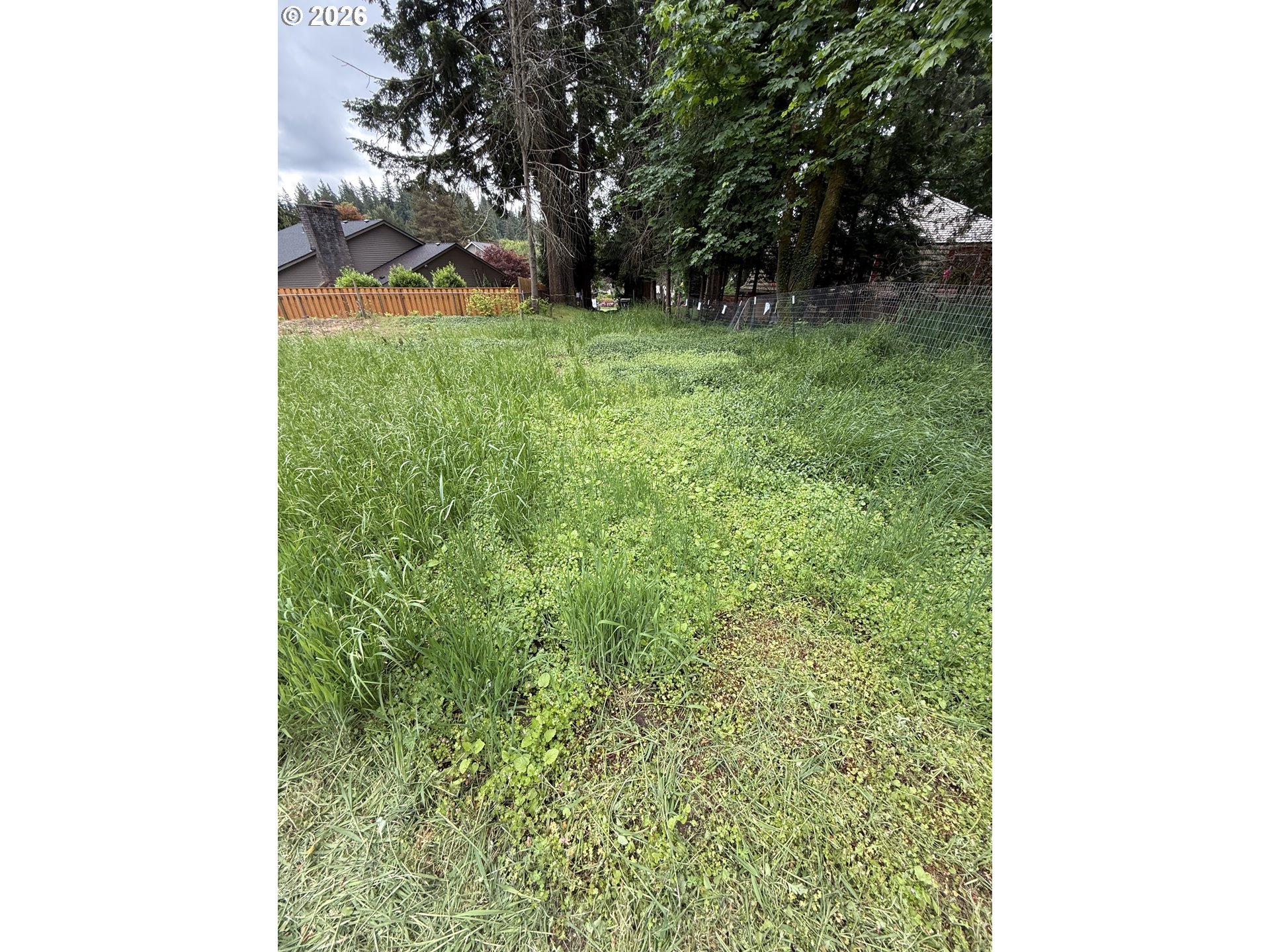 1 Lothlorien Property Photo 5