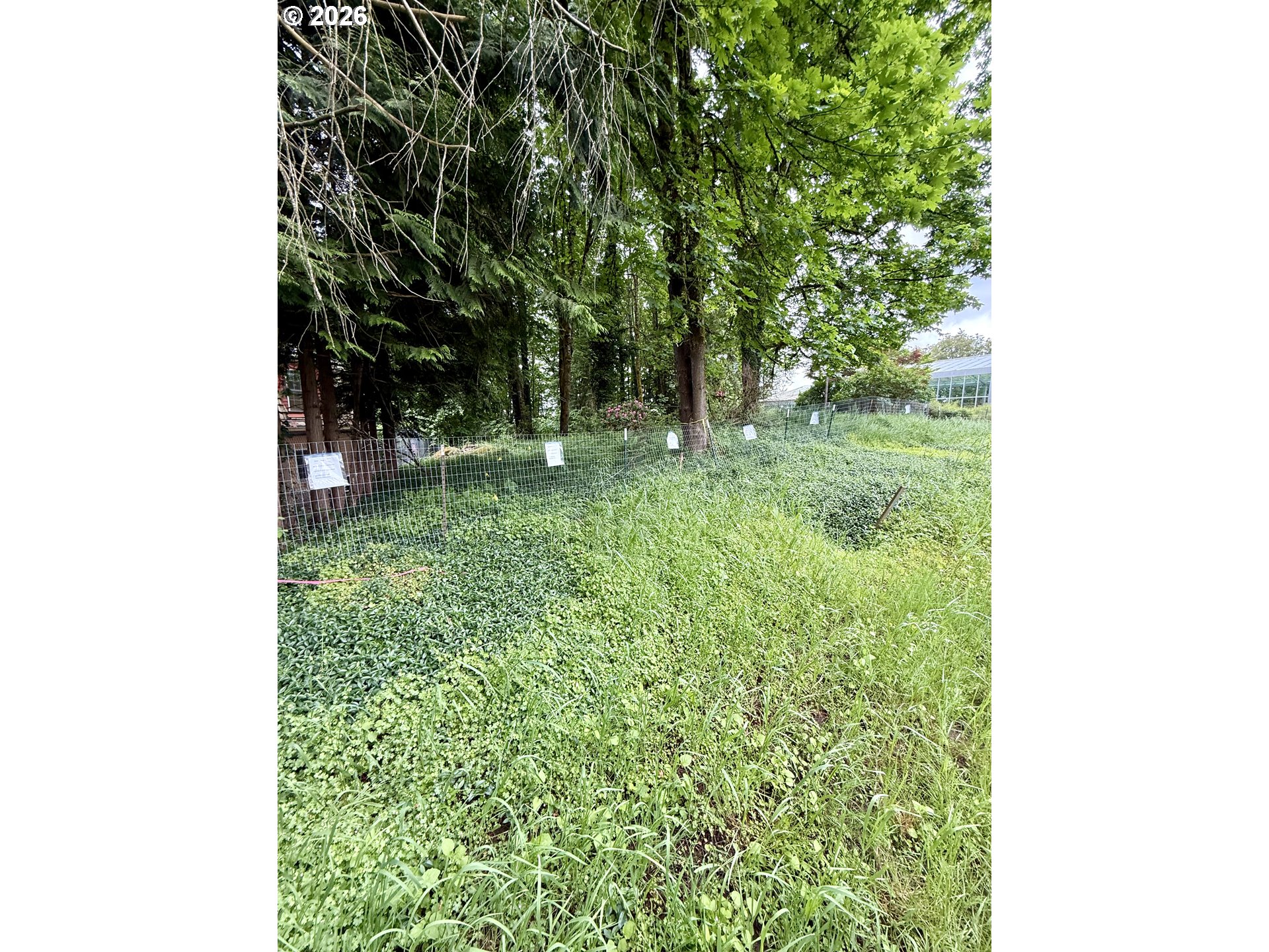 1 Lothlorien Property Photo 6