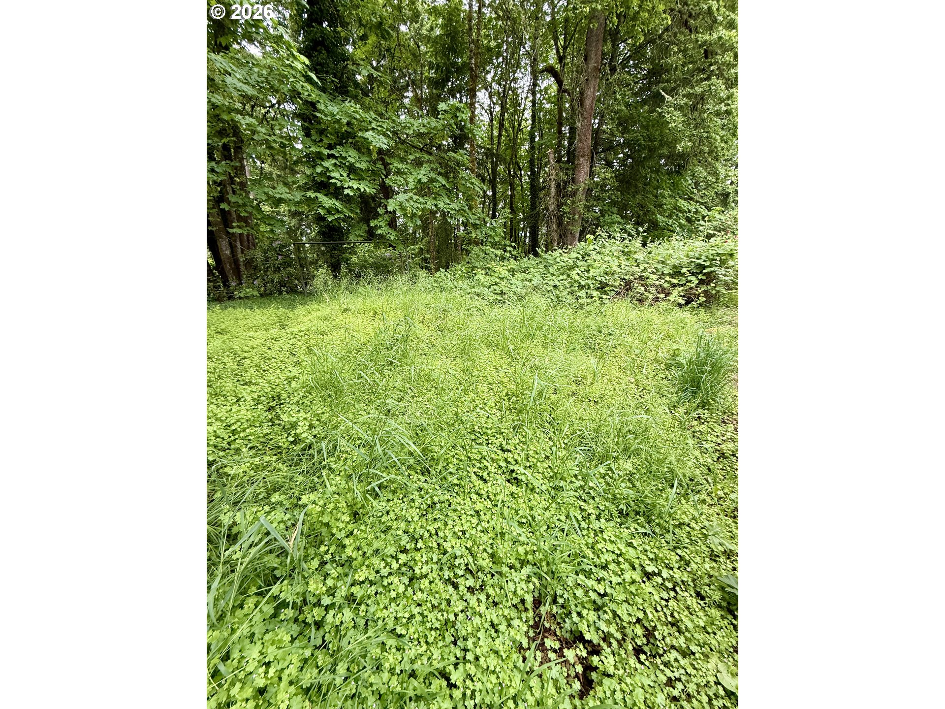 1 Lothlorien Property Photo 9