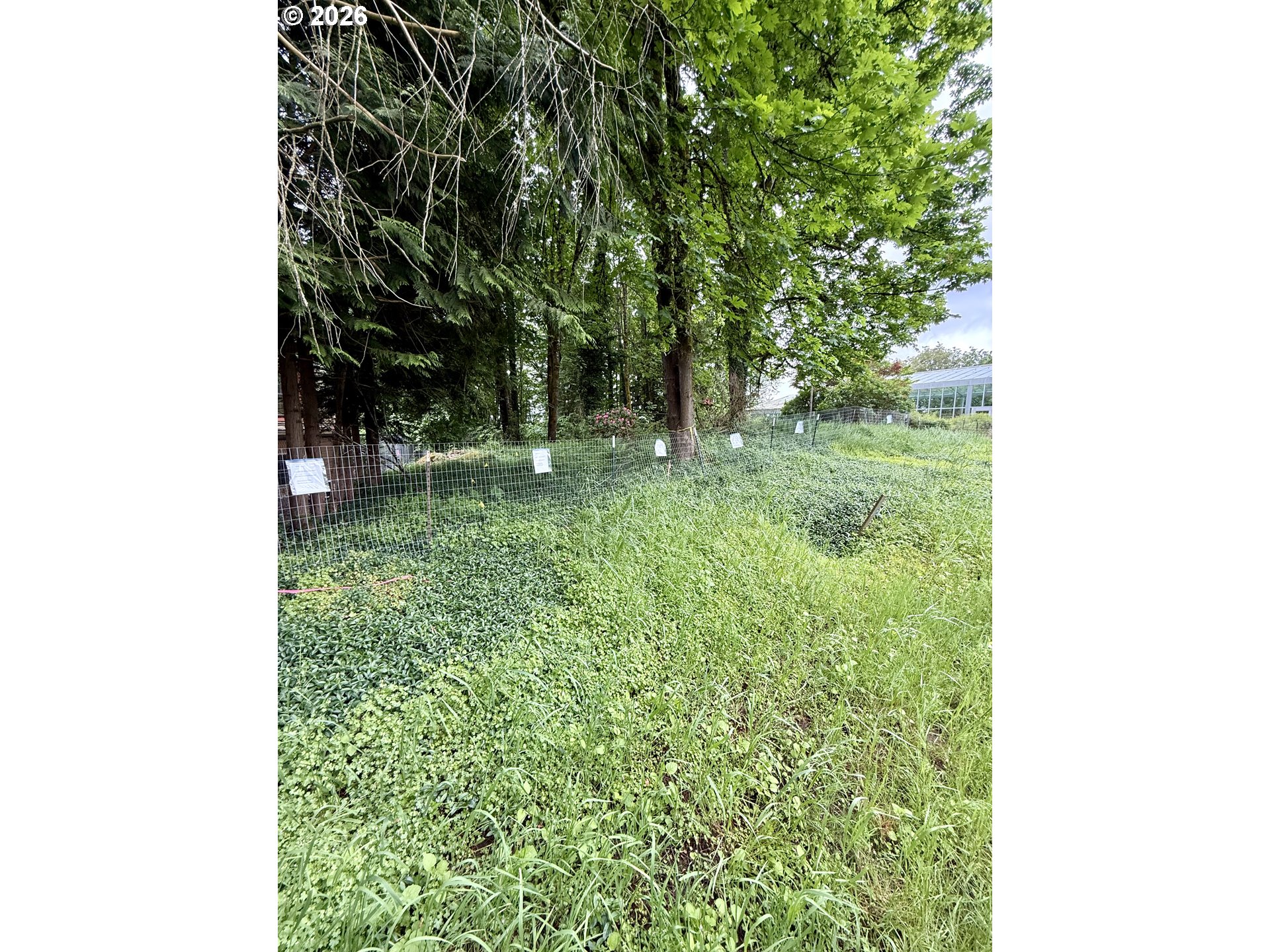 1 Lothlorien Property Photo 16