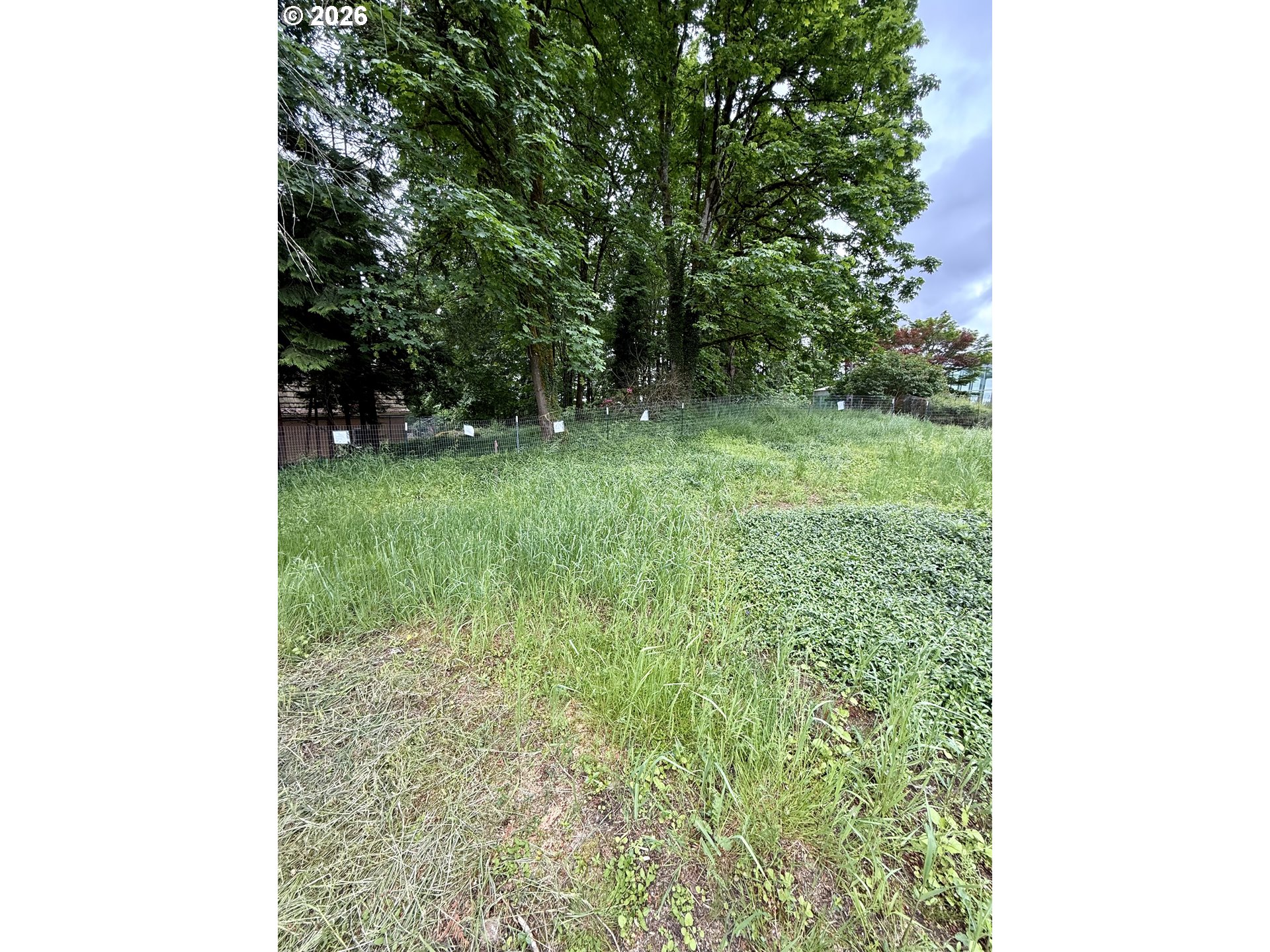 1 Lothlorien Property Photo 17