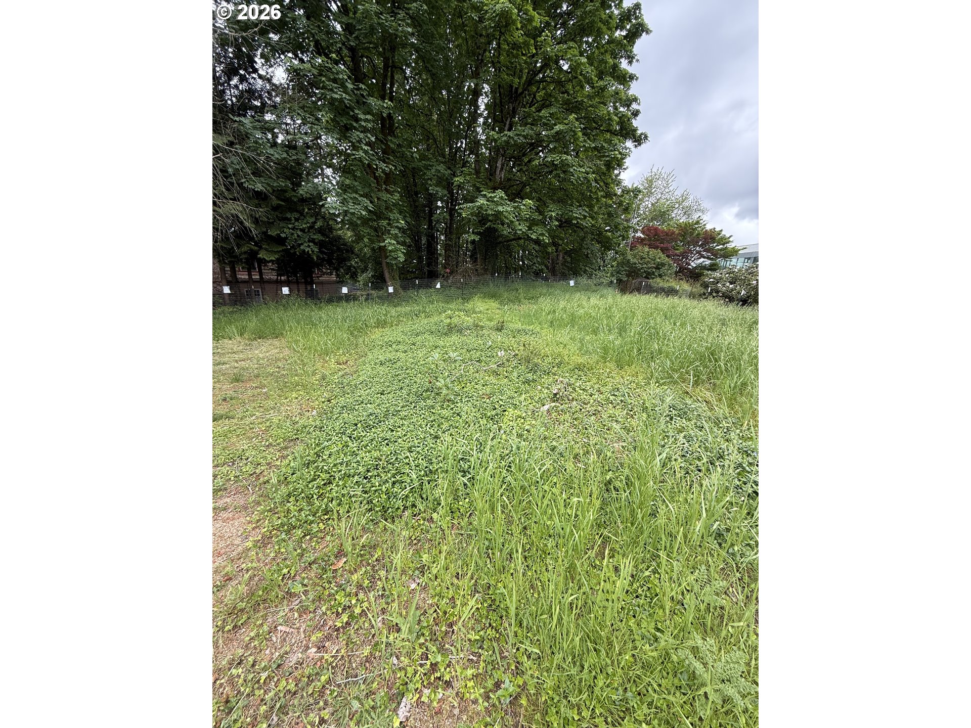 1 Lothlorien Property Photo 18