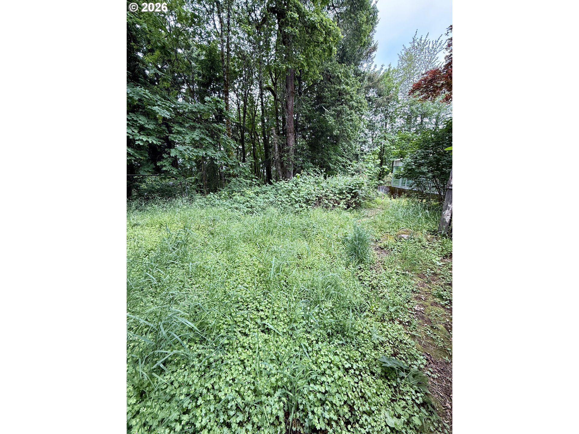 1 Lothlorien Property Photo 19