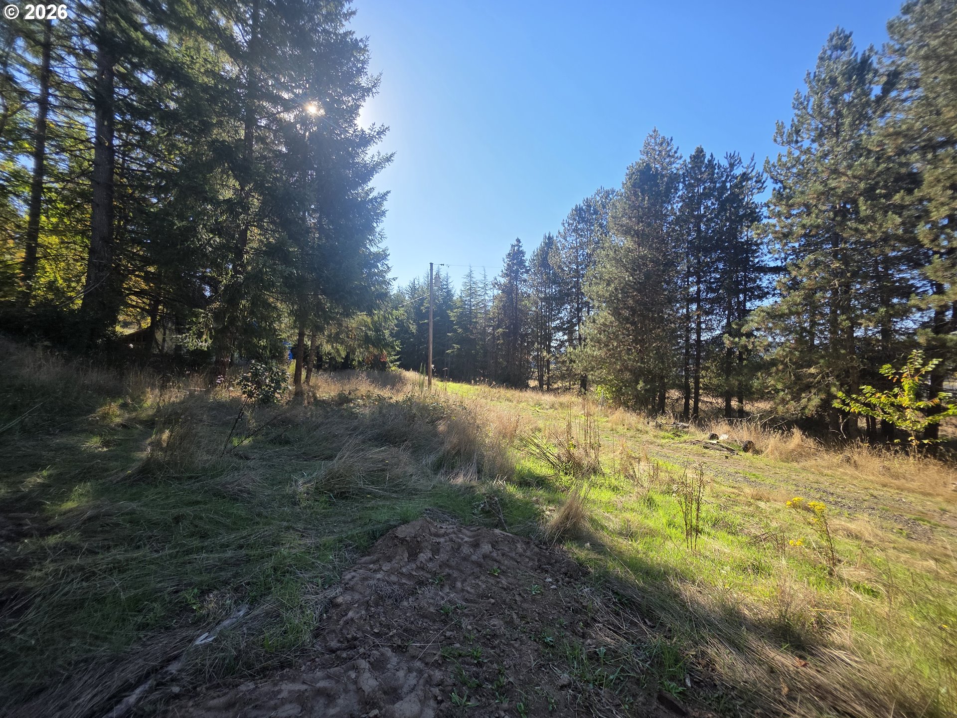 4240 Sw Fern Hill Rd Property Photo 11