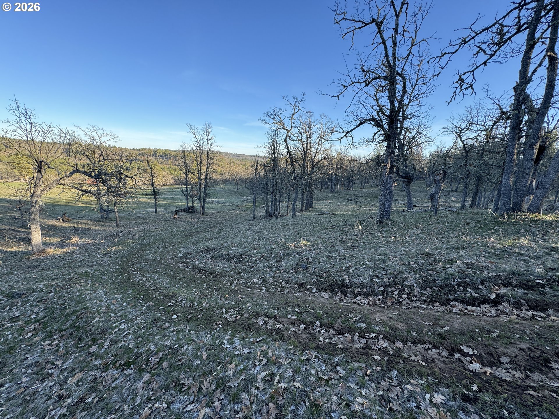 Piney Woods Property Photo 9