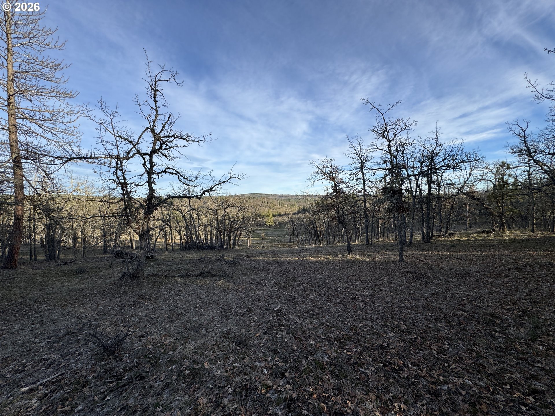 Piney Woods Property Photo 11