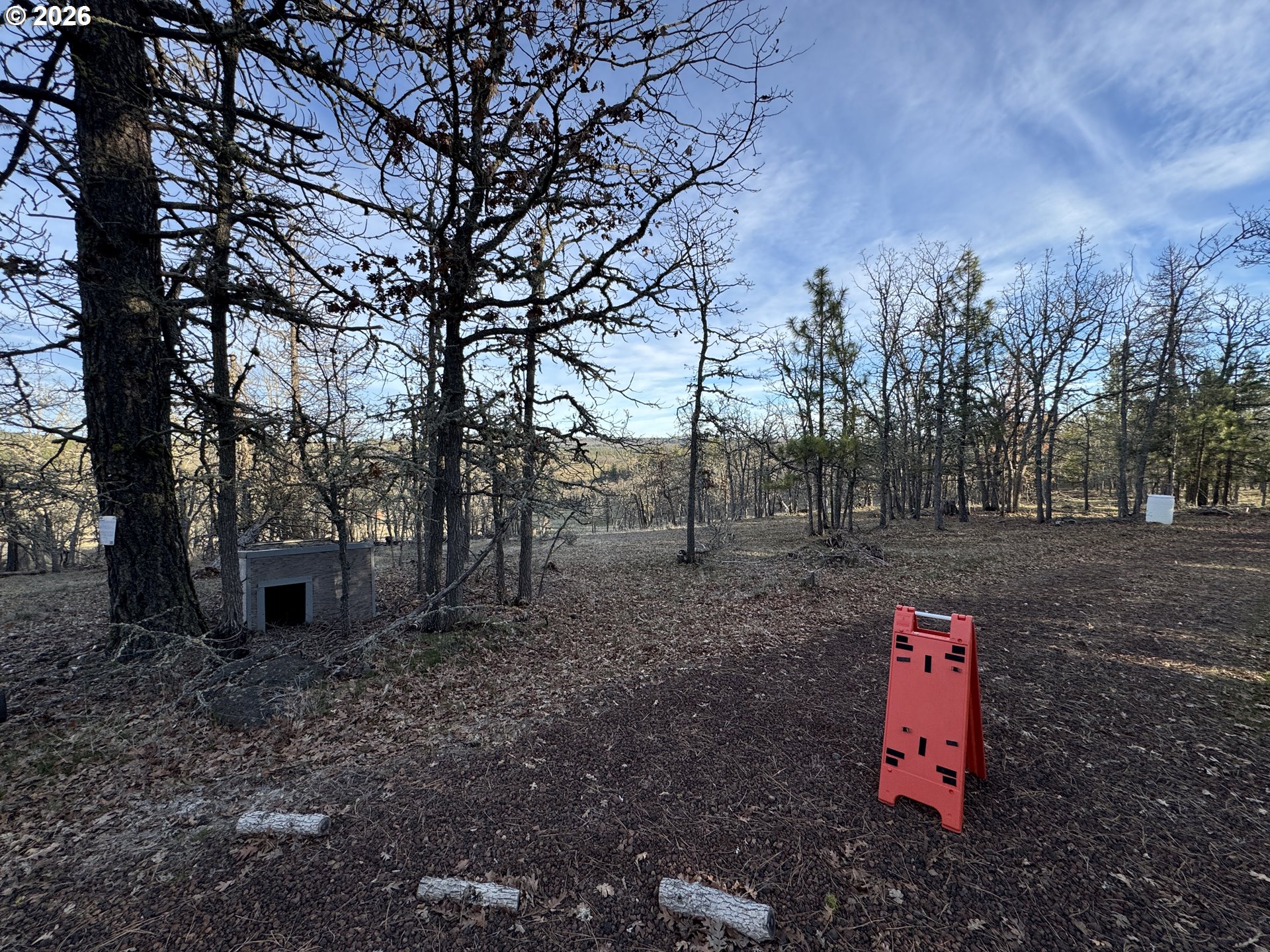 Piney Woods Property Photo 12