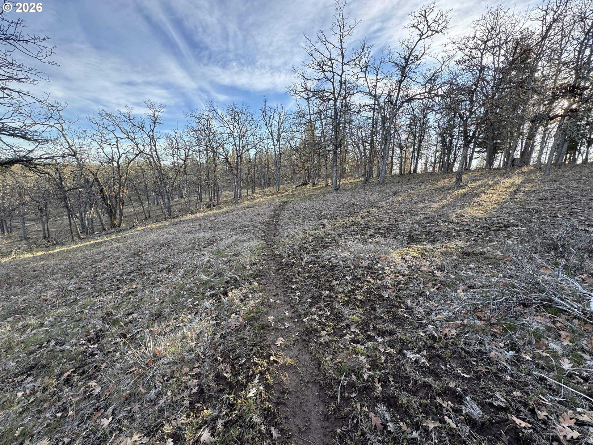 Piney Woods Property Photo 14