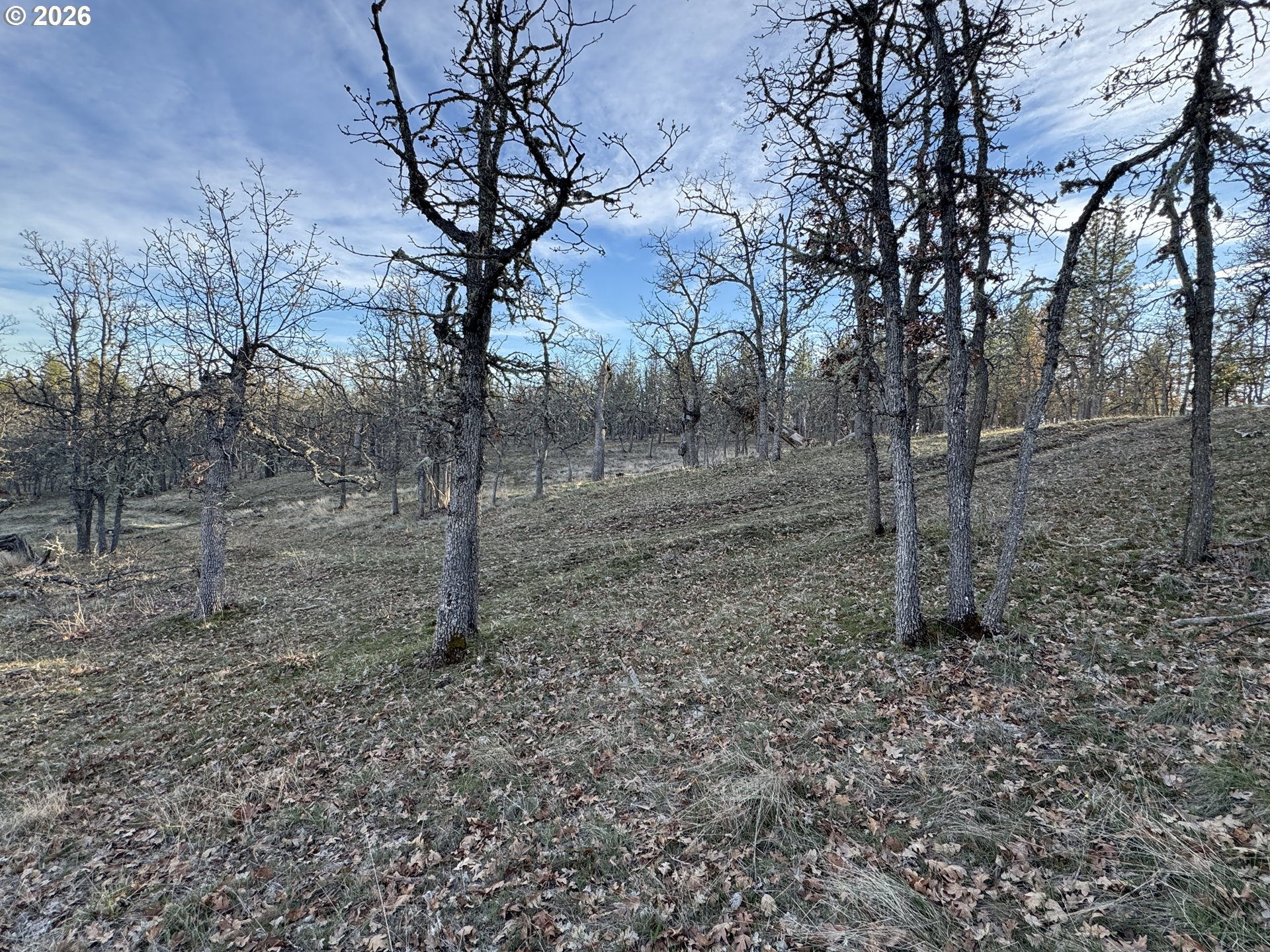 Piney Woods Property Photo 15