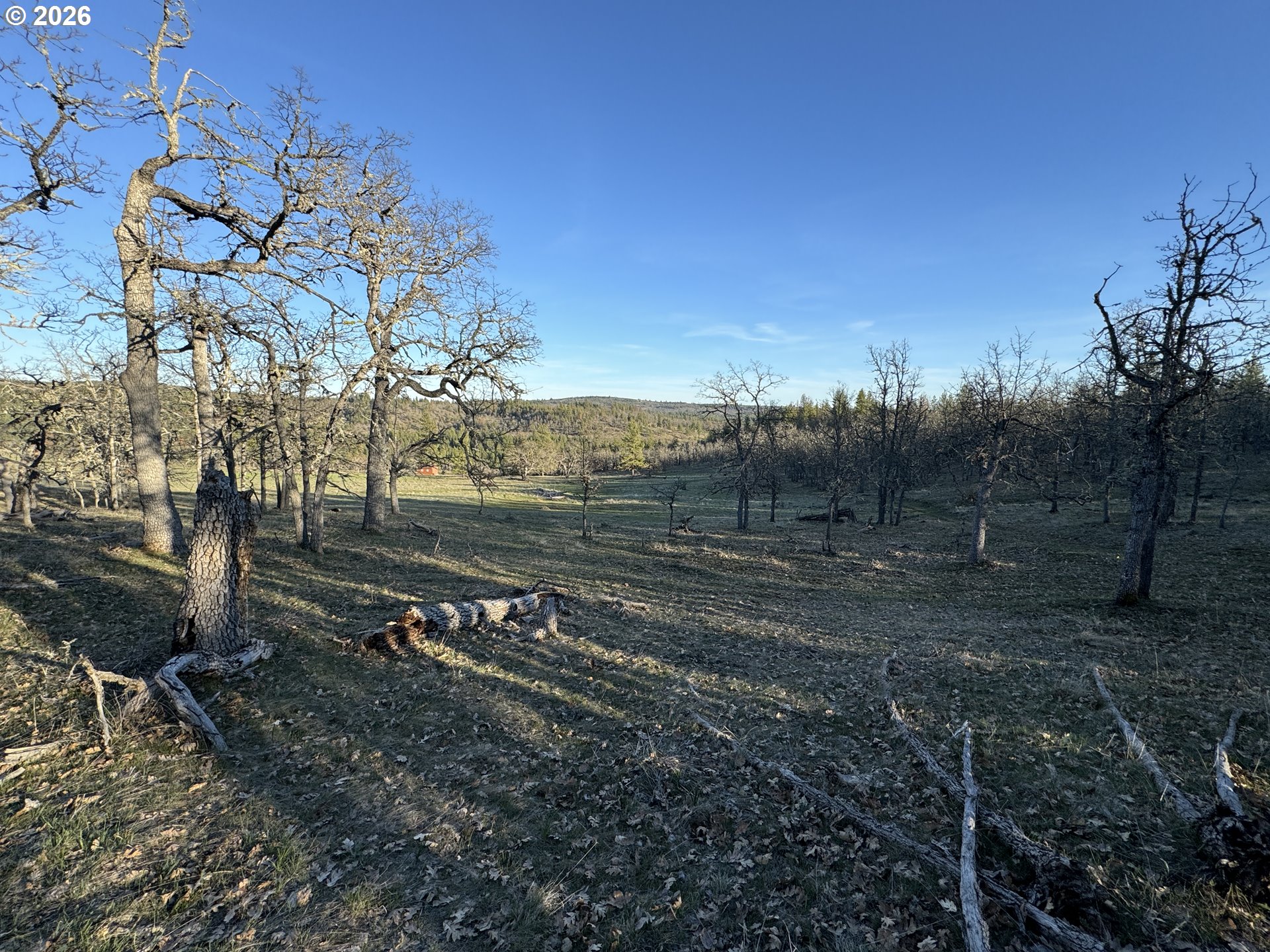 Piney Woods Property Photo 20