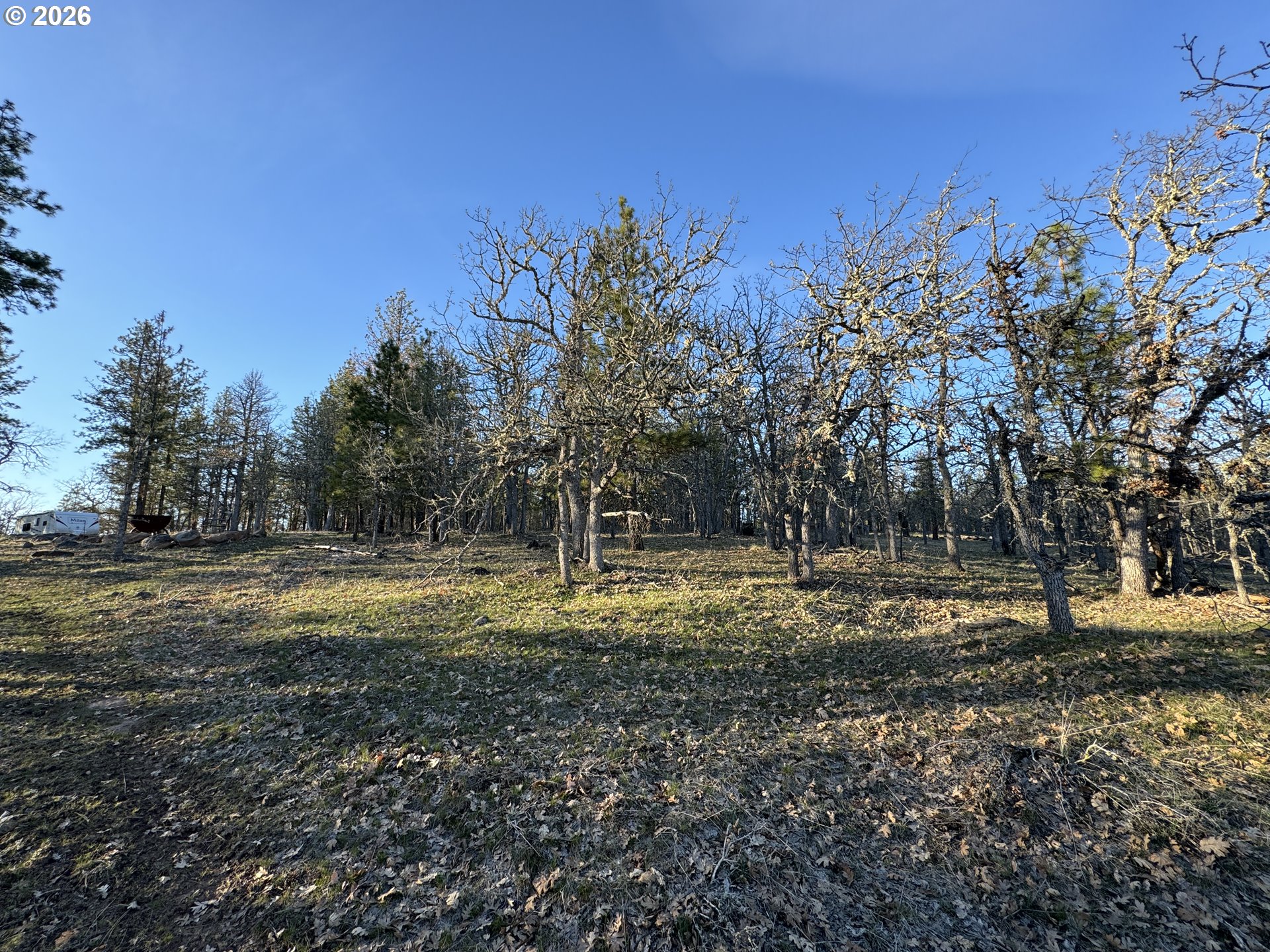 Piney Woods Property Photo 22