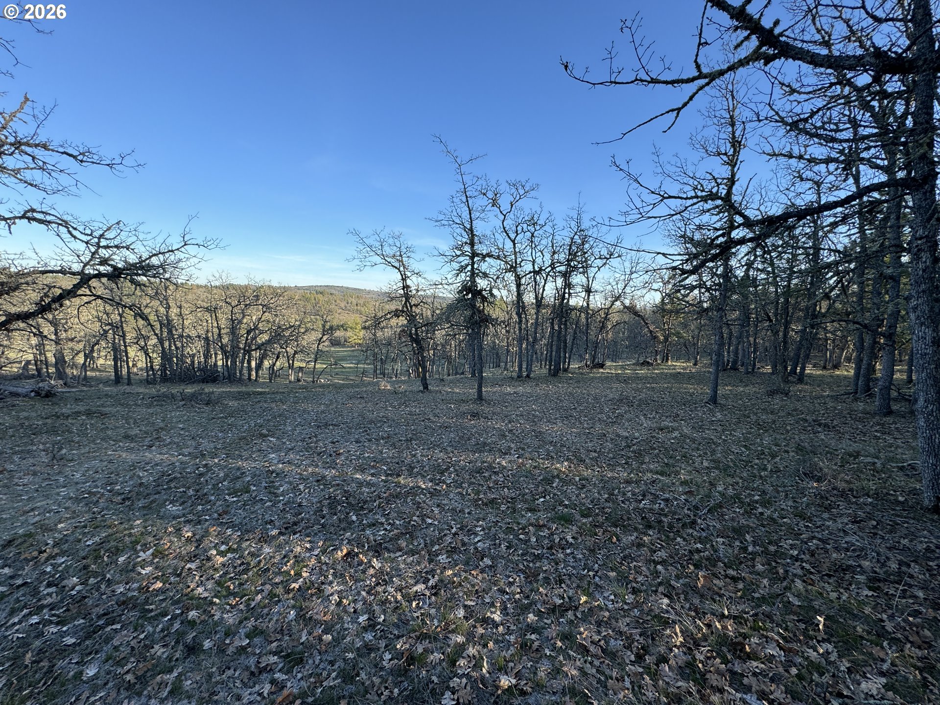 Piney Woods Property Photo 24