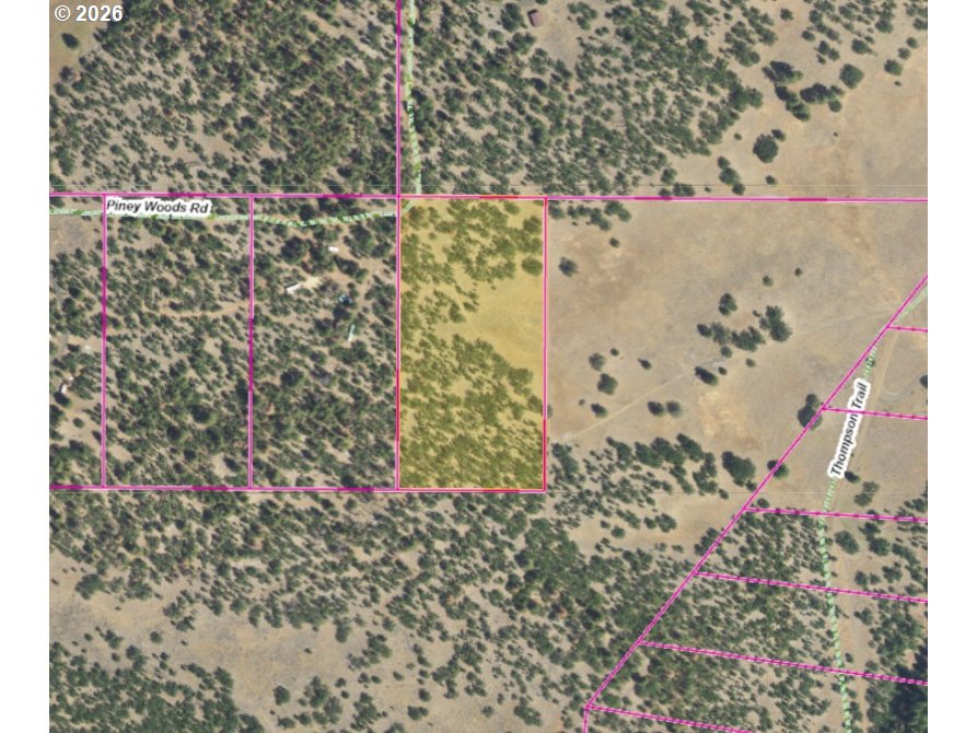 Piney Woods Property Photo 25