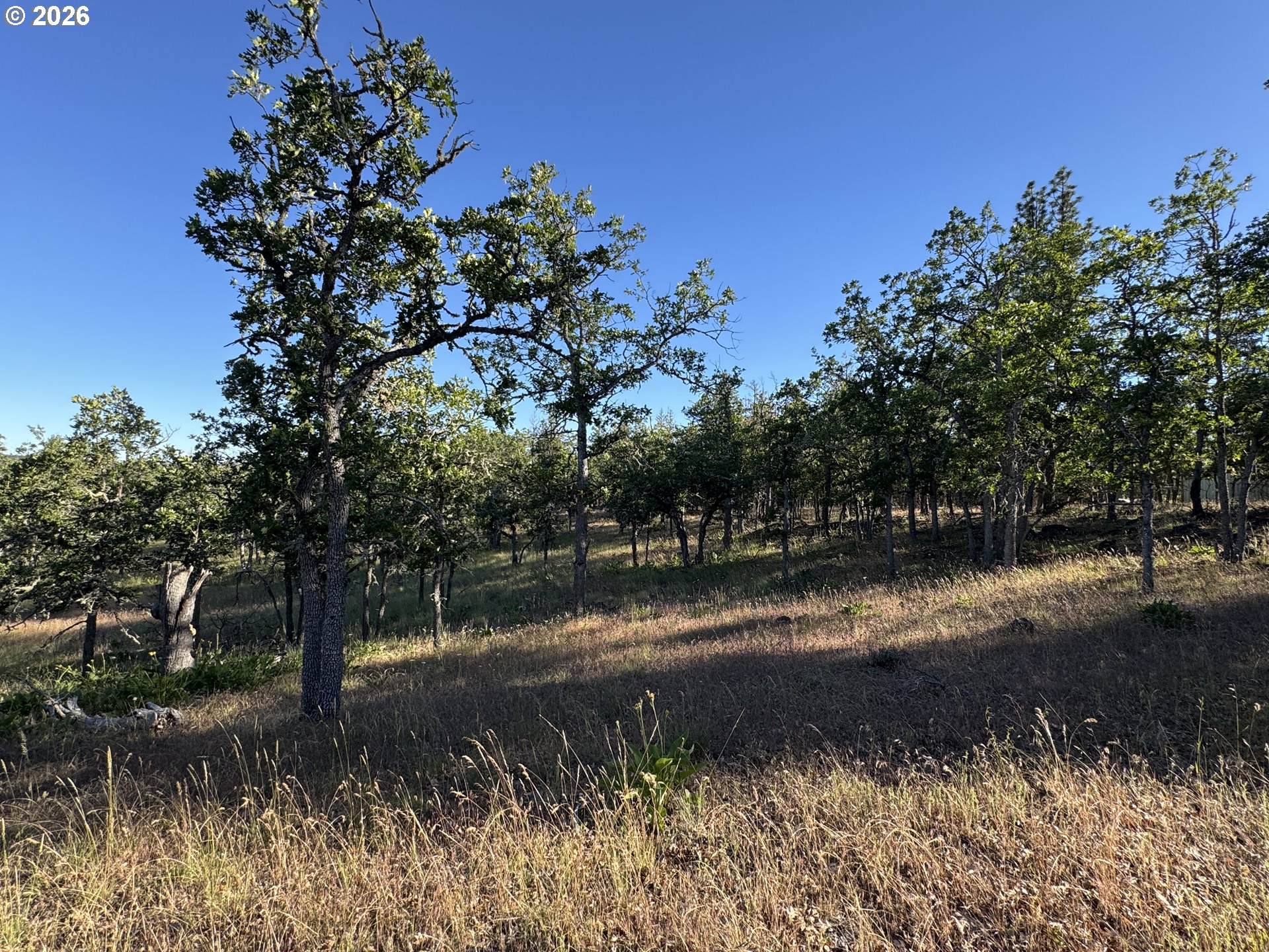 Piney Woods Property Photo 26