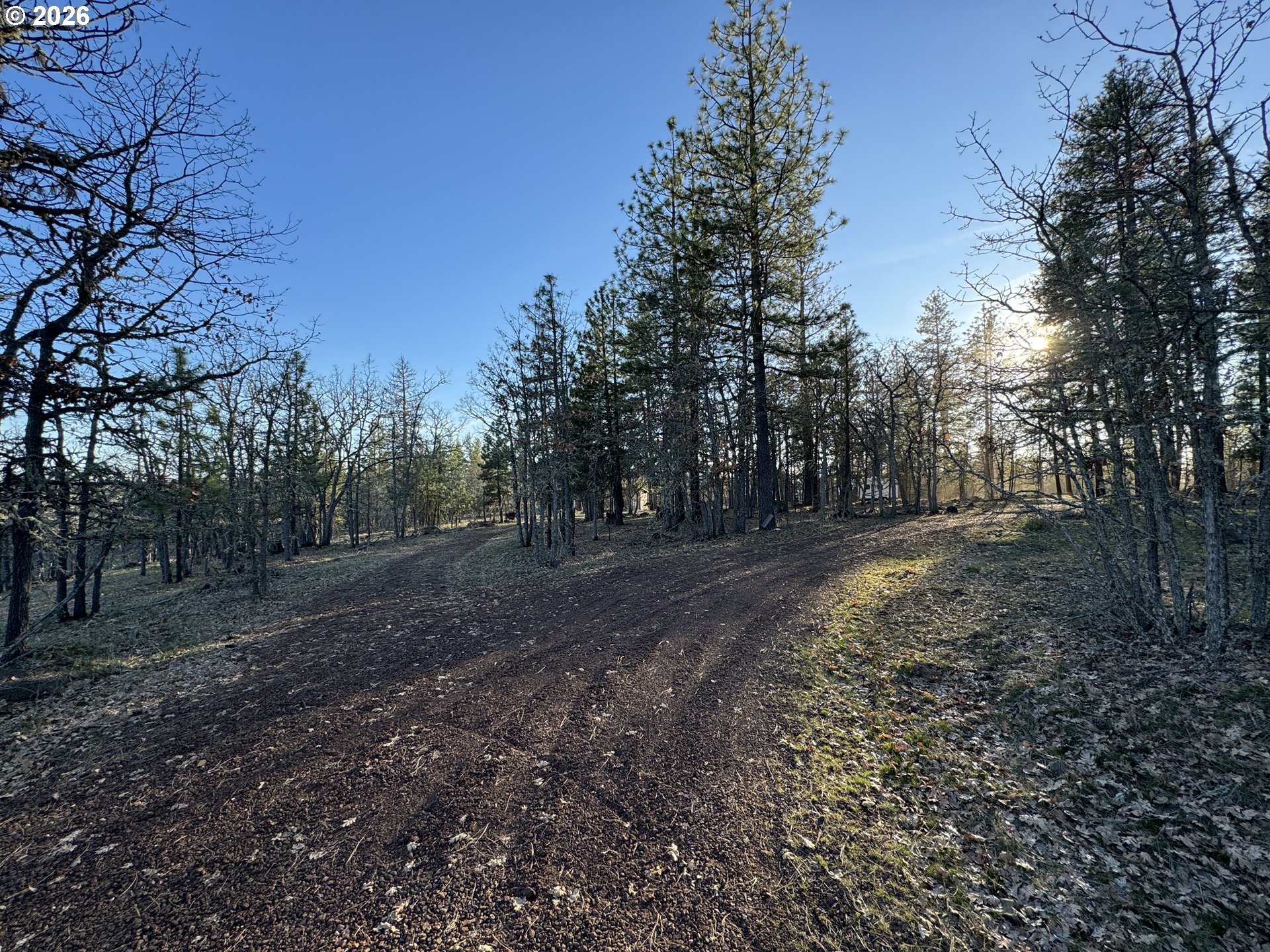 Piney Woods Property Photo 30