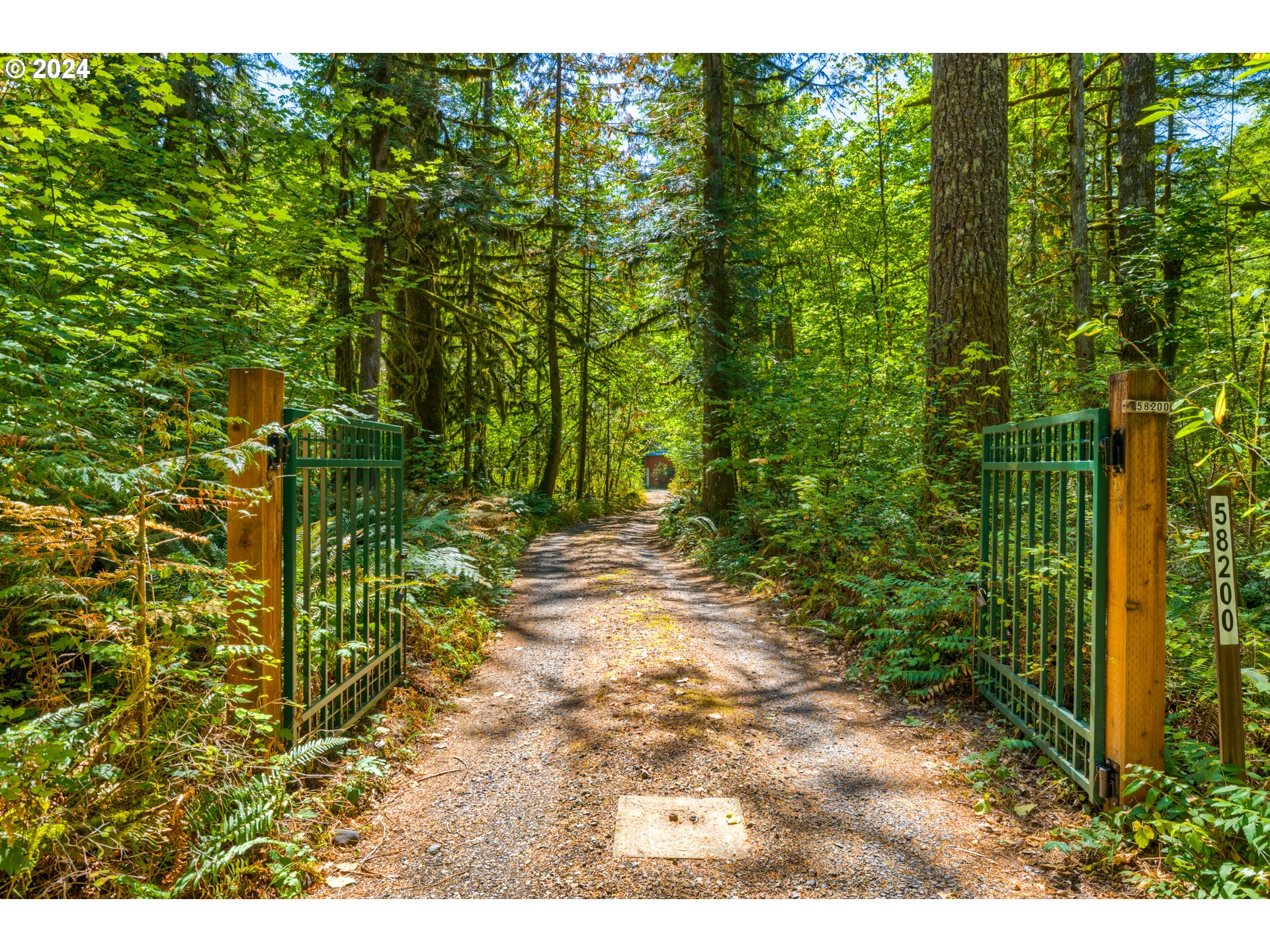 58200 E Marmot Rd Property Photo 7