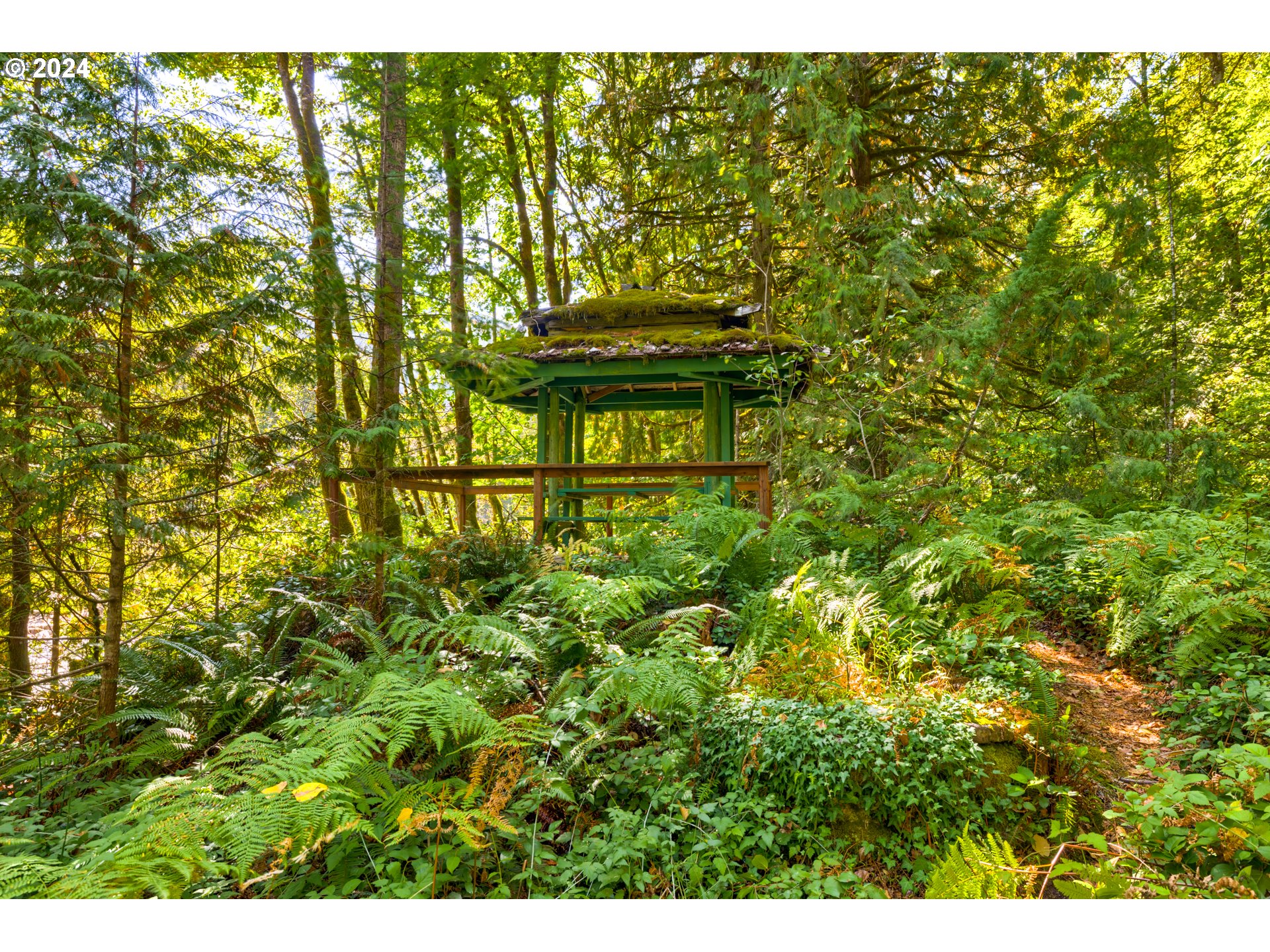 58200 E Marmot Rd Property Photo 8