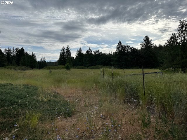 1704 Highway 97 Property Photo 13