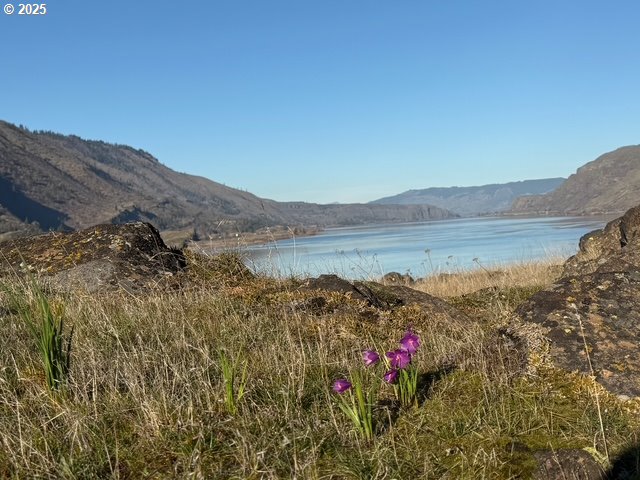 River View Property Photo 11