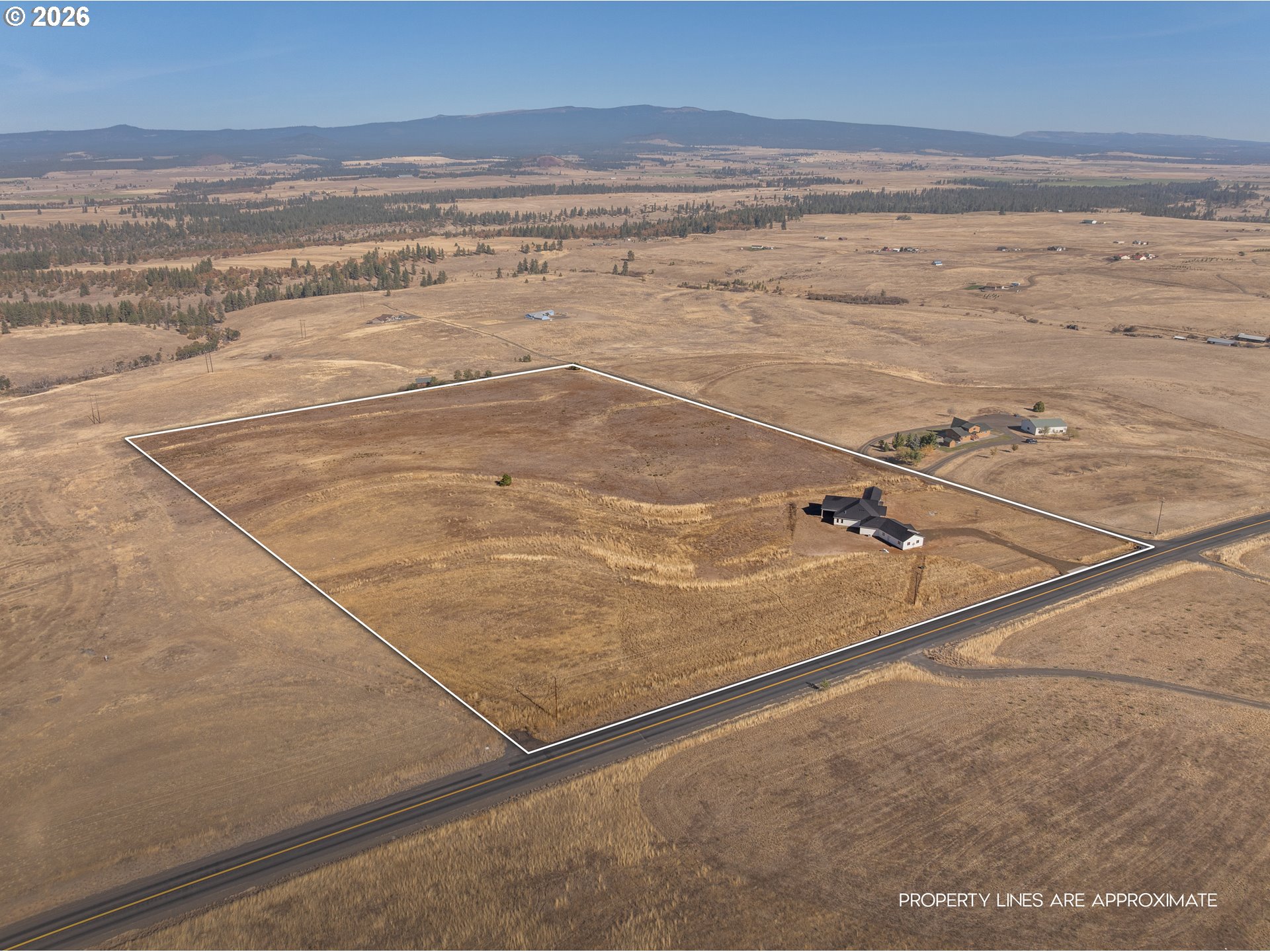 823 Horseshoe Bend Rd Property Photo 4