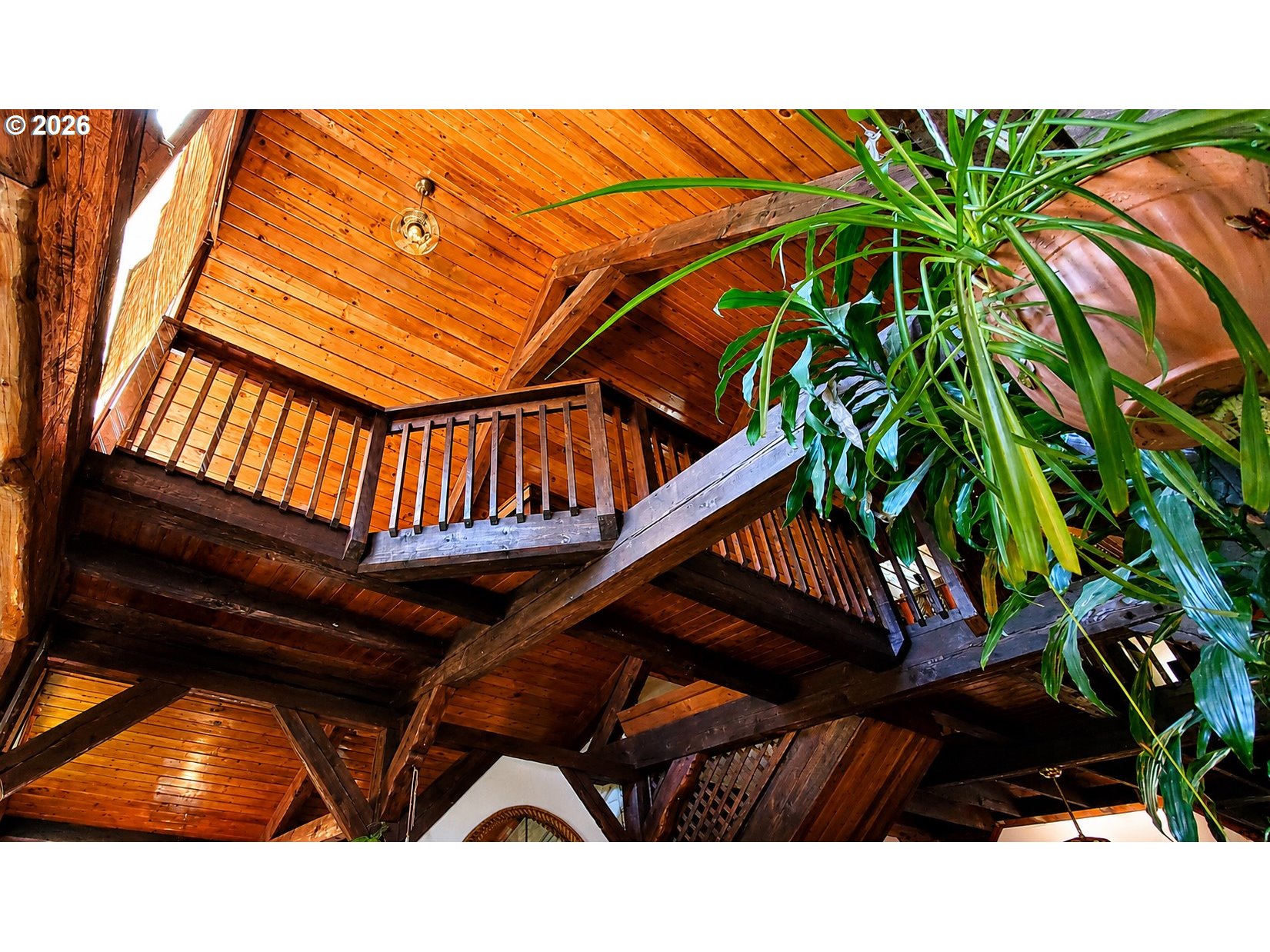 223 Goldenpine Property Photo 16