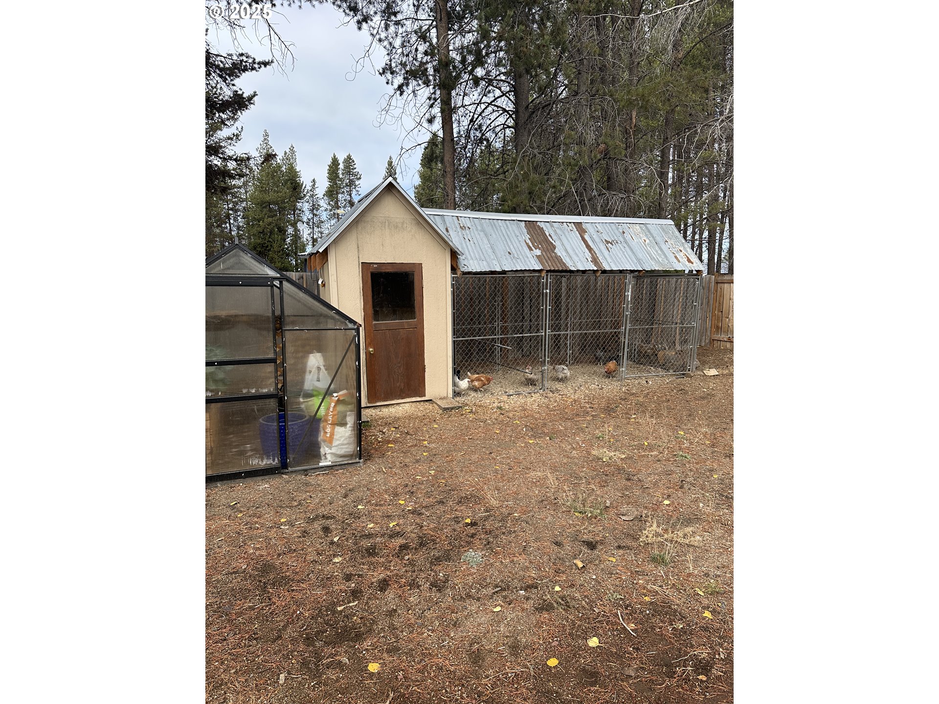 136010 Hwy 97 Property Photo 36