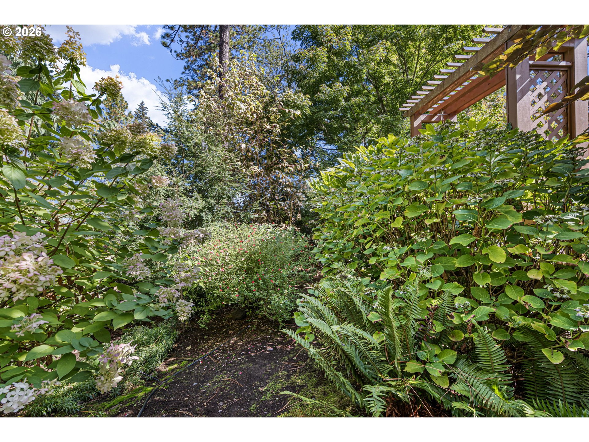 85 W 35th Pl Property Photo 37
