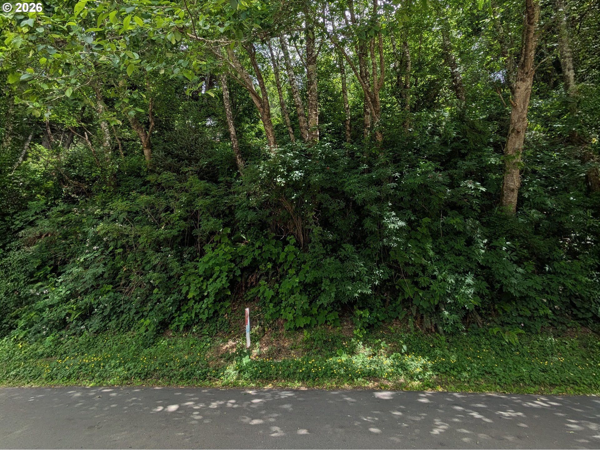S Easy St Property Photo 2