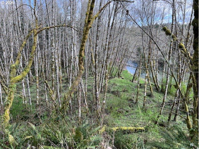Northrup Creek Rd Property Photo 4