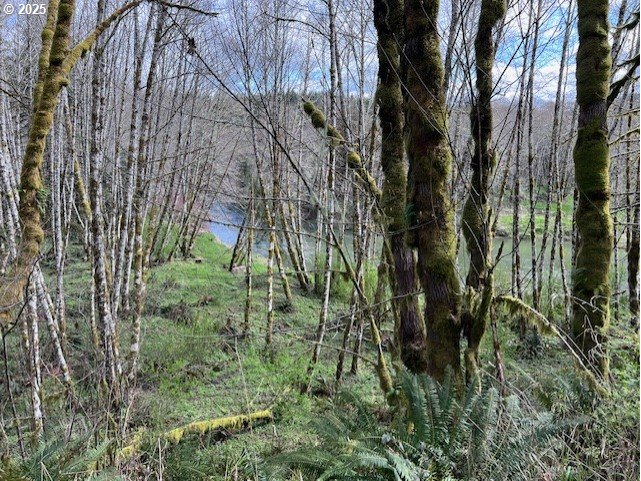 Northrup Creek Rd Property Photo 5
