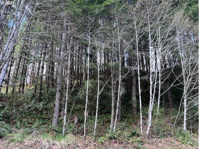 Northrup Creek Rd Property Photo 8