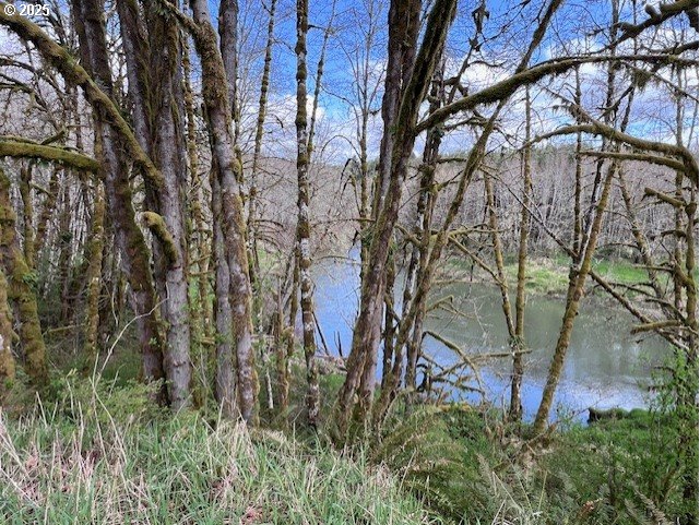 Northrup Creek Rd Property Photo 10