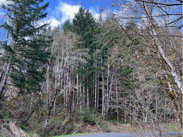 Northrup Creek Rd Property Photo 12