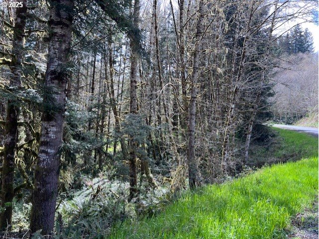 Northrup Creek Rd Property Photo 14