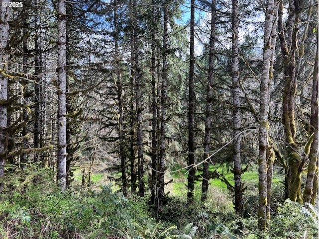 Northrup Creek Rd Property Photo 15