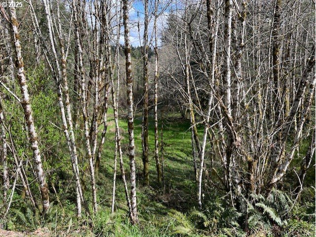 Northrup Creek Rd Property Photo 16