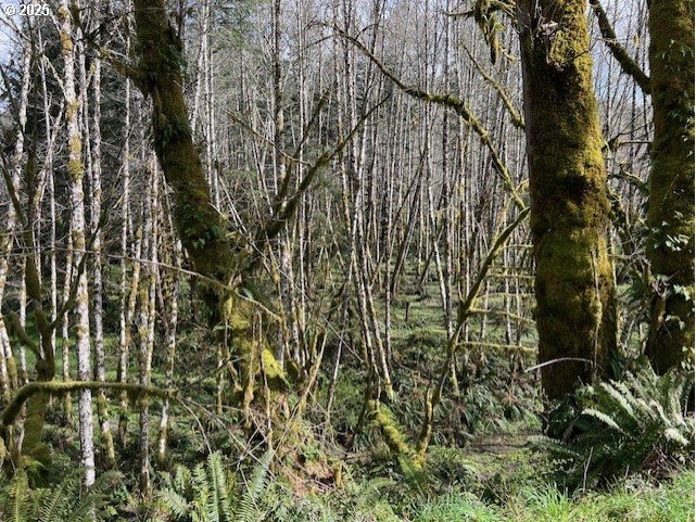 Northrup Creek Rd Property Photo 17