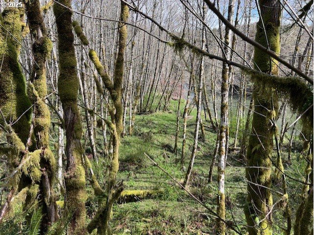 Northrup Creek Rd Property Photo 18